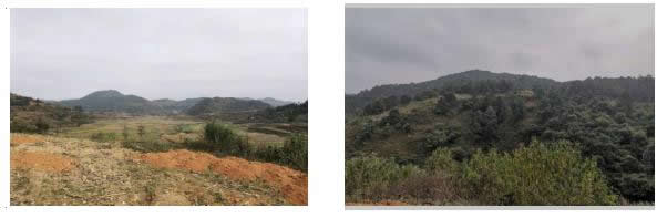 201912021575256837653437.jpg 企業微信截圖_20191202110206.jpg